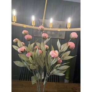 Set of 4 Viral Ashland Coral Peony Stems From Michael’s NEW 2026